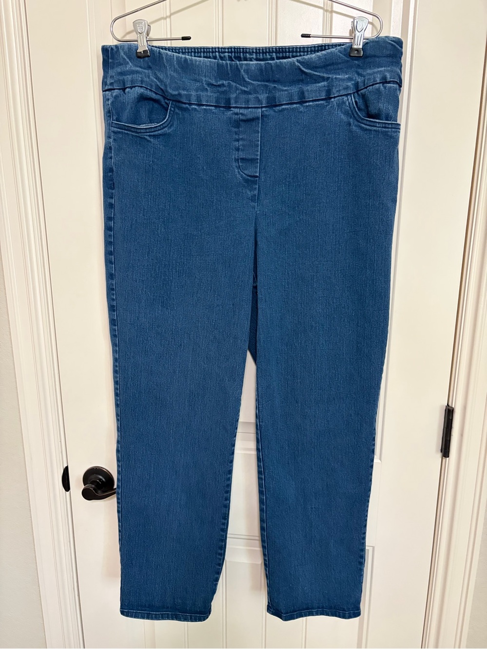 Alfred Dunner Straight-Leg Pull-On Jeans in Blue